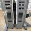 Guardian Powersport Bicep Curl / Upright Row