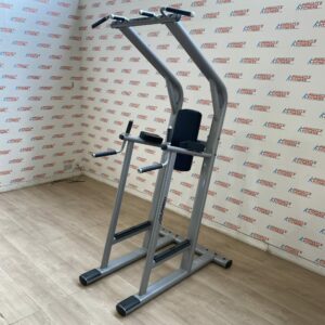 Life Fitness Signature Series Chin Dip Frame