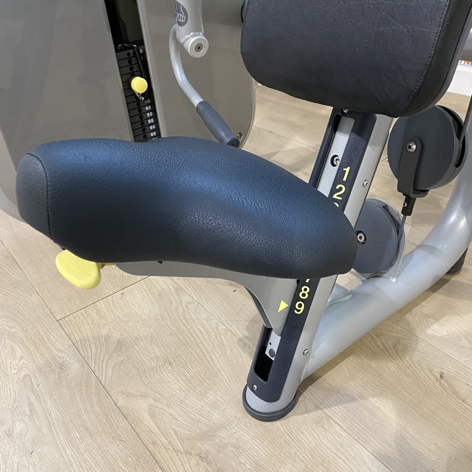 Technogym Element Line Arm Bicep Curl Pinnacle Fitness