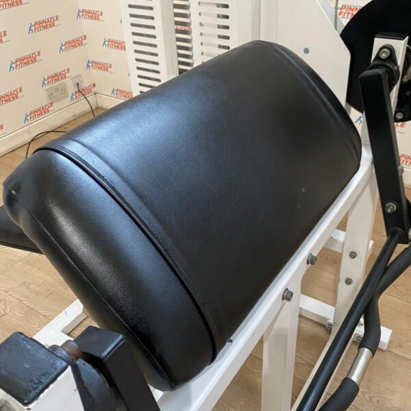 Guardian Powersport Bicep Curl Machine - Image 7
