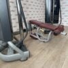 Technogym Radiant Dual Adjustable Pulley