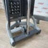 Technogym Radiant Dual Adjustable Pulley