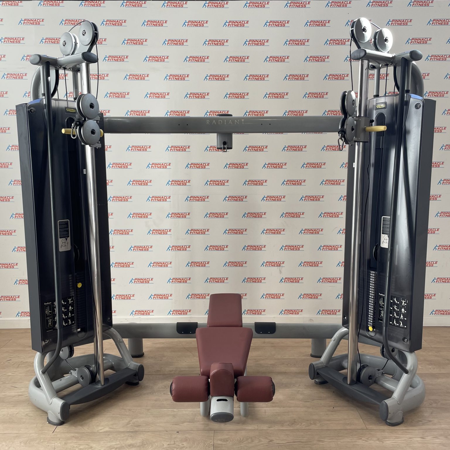 Technogym Radiant Dual Adjustable Pulley Pinnacle Fitness