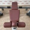 Technogym Radiant Dual Adjustable Pulley