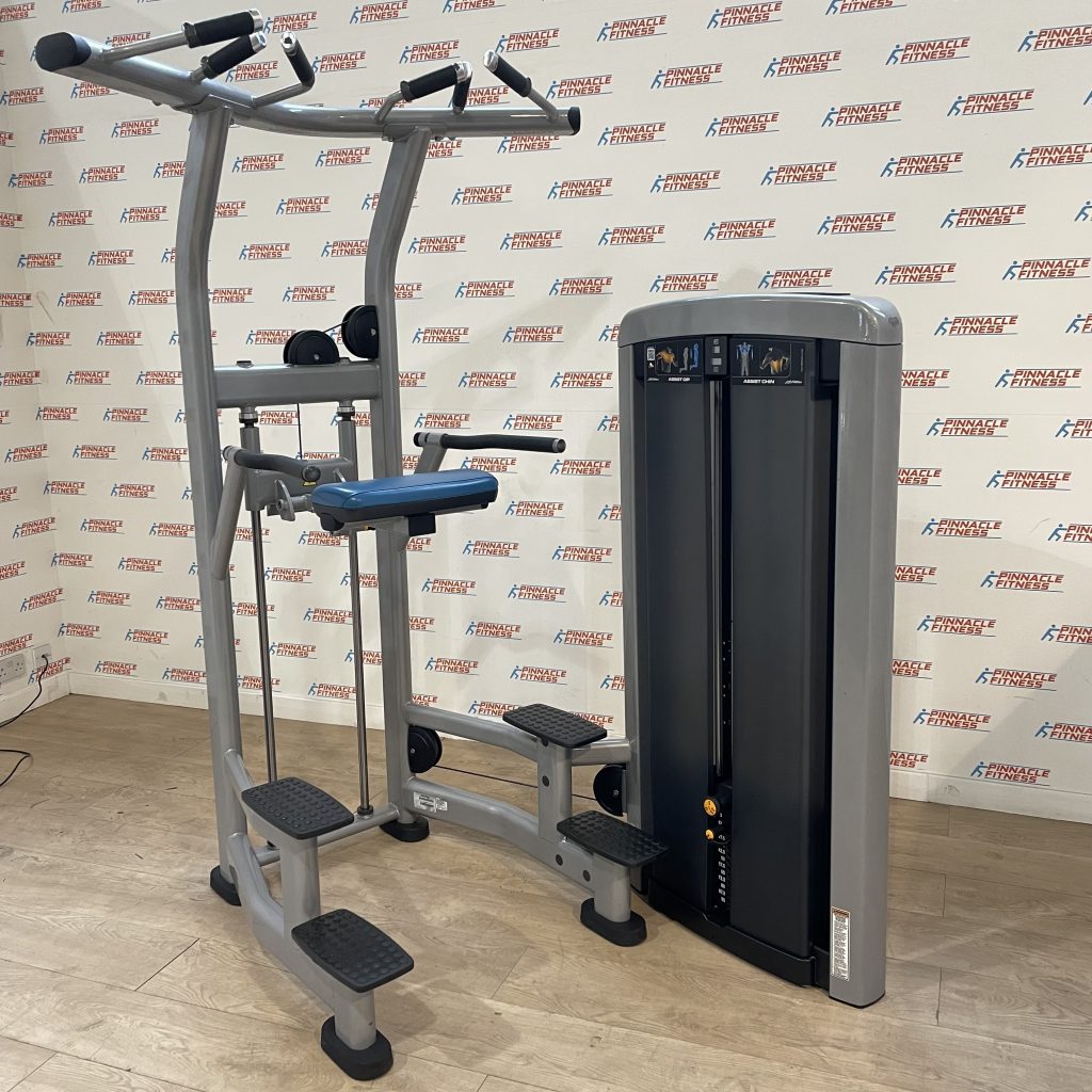 Life Fitness Insignia Series Assisted Chin Dip Life Fitness Insignia Series Assisted Chin Dip