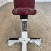 Hammer Strength Multi Adjustable Weight Bench