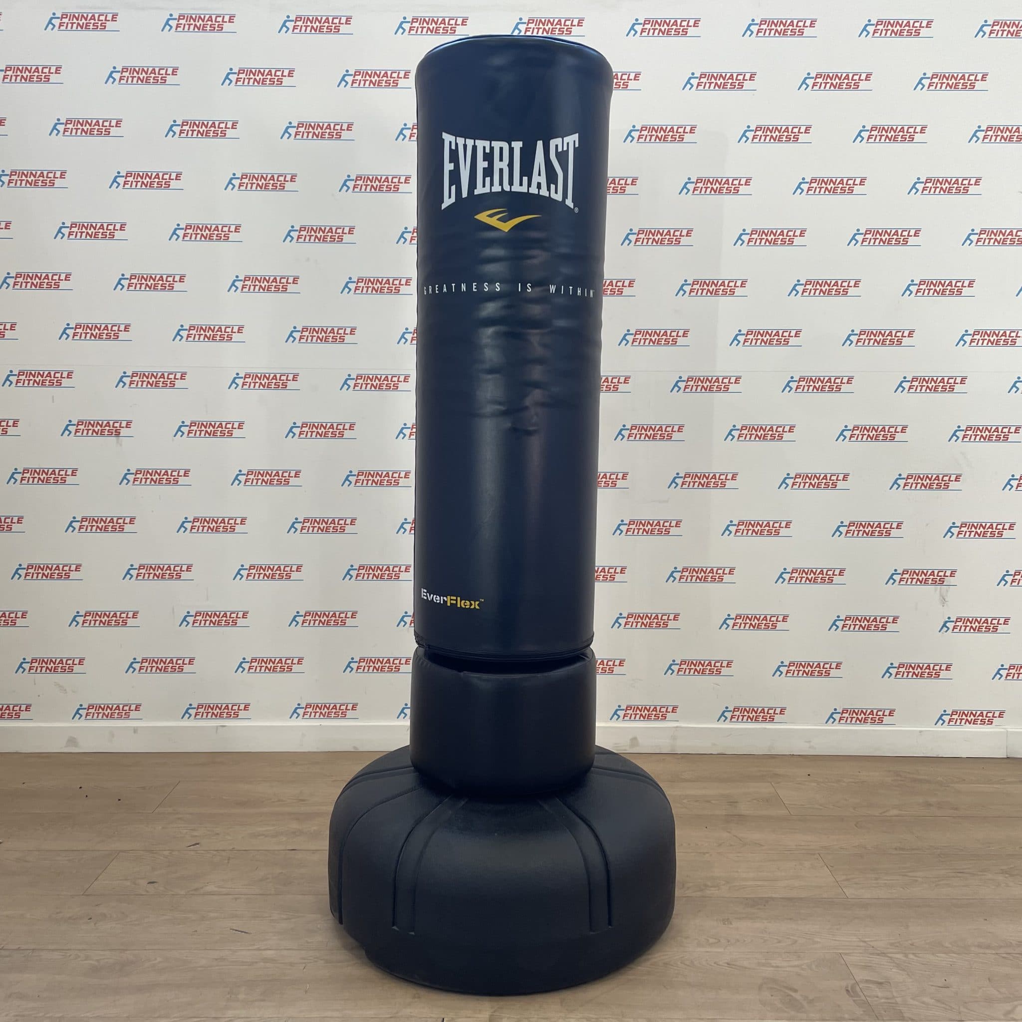 Everlast Punching Bag Freestanding