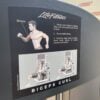 Life Fitness Signature Series Bicep Curl