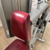 Life Fitness Signature Series Seated Row / Rear Deltoid