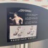 Life Fitness Signature Series Shoulder Press
