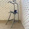 Cybex Dip Chin Leg Raise Station