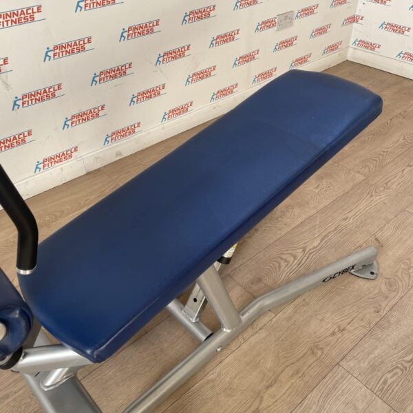 Cybex Adjustable Abdominal Bench - Image 11