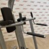 Life Fitness Signature Series Chin / Dip Leg Raise