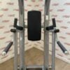 Life Fitness Signature Series Chin / Dip Leg Raise