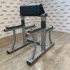 Life Fitness Preacher Curl Bench