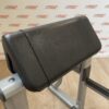 Life Fitness Preacher Curl Bench