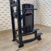 Life Fitness Insignia Series Assisted Chin Dip