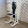 Precor Icarian Assisted Chin Dip