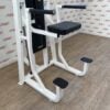 Precor Icarian Assisted Chin Dip