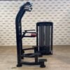 Life Fitness Insignia Series Assisted Chin Dip