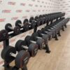 Round Urethane Dumbbell Set 2.5kg to 50kg by Spartan