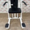 Precor Icarian Assisted Chin Dip