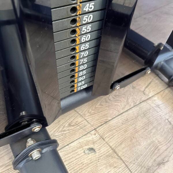 Pulse Evolve Series Back Extension - Image 7