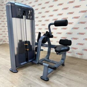 Precor Discovery Series Back Extension