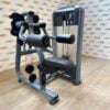 Precor Discovery Line Lateral Raise