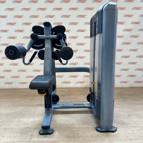 Precor Discovery Line Lateral Raise - Image 2