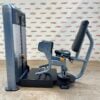 Precor Discovery Series Outer Thigh