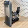 Precor Discovery Series Outer Thigh
