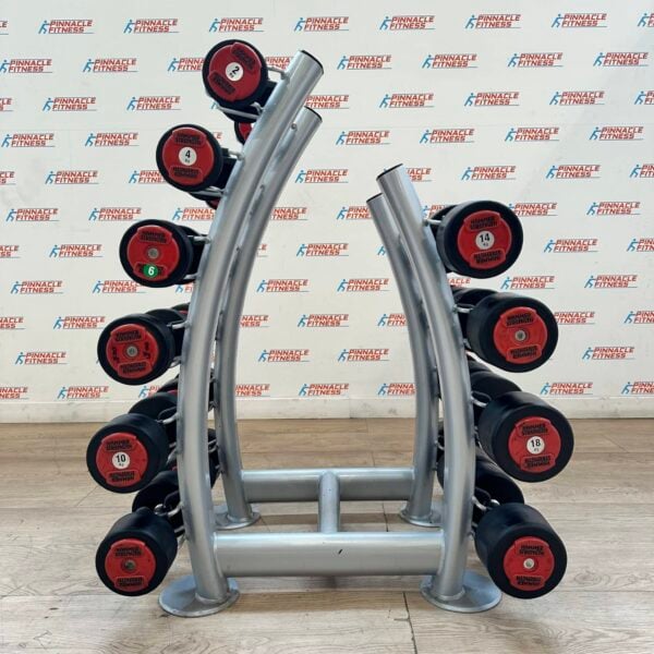 Hammer Strength PU Dumbbell Set 2kg to 20kg with Escape Fitness Storage Rack - Image 3