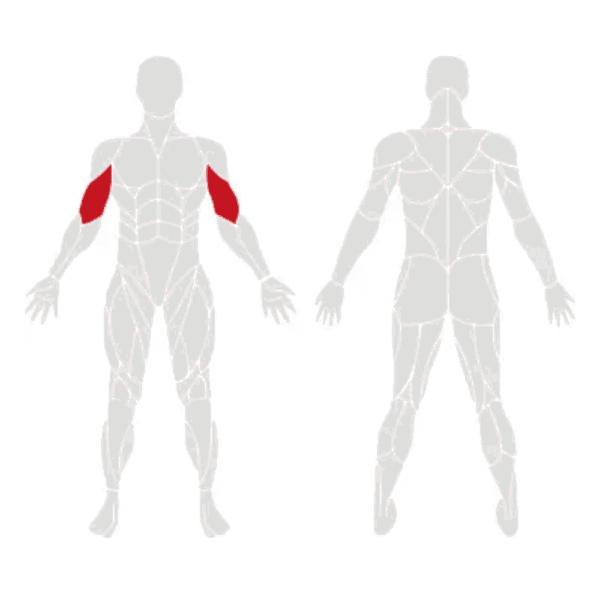 EXIGO Plate Loaded Seated Bicep Curl - Image 2
