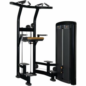 LIFE FITNESS Insignia Series Assisted Chin & Dip