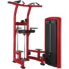 LIFE FITNESS Insignia Series Assisted Chin & Dip