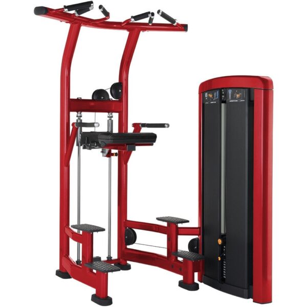 LIFE FITNESS Insignia Series Assisted Chin & Dip - Image 3