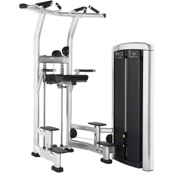 LIFE FITNESS Insignia Series Assisted Chin & Dip - Image 4
