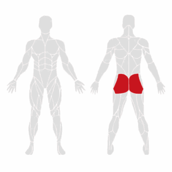 EXIGO Glute Machine - Image 3