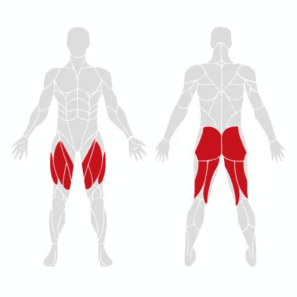 EXIGO Plate Loaded Vertical Leg Press - Image 3