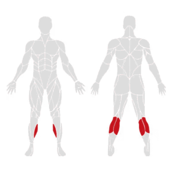 EXIGO Plate Loaded Seated Calf Raise - Image 2