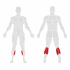 EXIGO Standing Calf Raise 150kg / 330lb Weight Stack