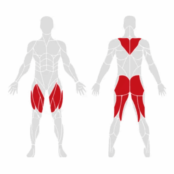EXIGO Plate Loaded Iso-Lateral Shrug / Deadlift - Image 2