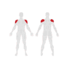EXIGO Lateral Deltoid Raise 75kg / 165lb Weight Stack
