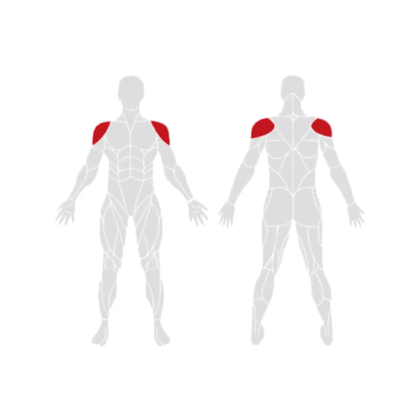 EXIGO Lateral Deltoid Raise 75kg / 165lb Weight Stack - Image 3