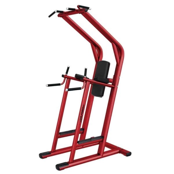 LIFE FITNESS Signature Series Chin/Dip/Leg Raise - Image 2