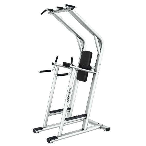 LIFE FITNESS Signature Series Chin/Dip/Leg Raise - Image 3