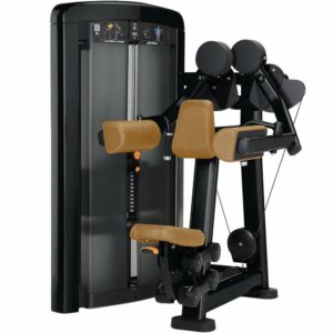 LIFE FITNESS Insignia Series Lateral Deltoid Raise