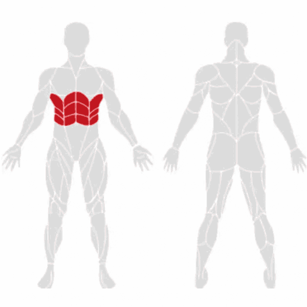 EXIGO Abdominal Twister / Rotary Torso - Image 3