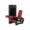 LIFE FITNESS Axiom Series Dual-Use Leg Extension / Leg Curl
